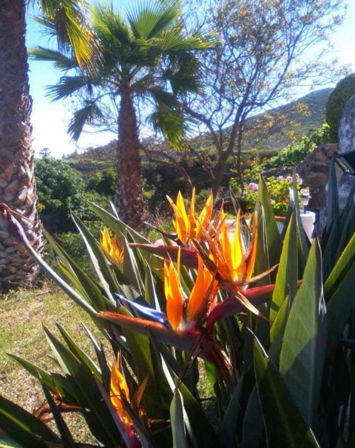 La Casita Ma Petite Folie Tenerife Santa Cruz de Tenerife Exteriör bild