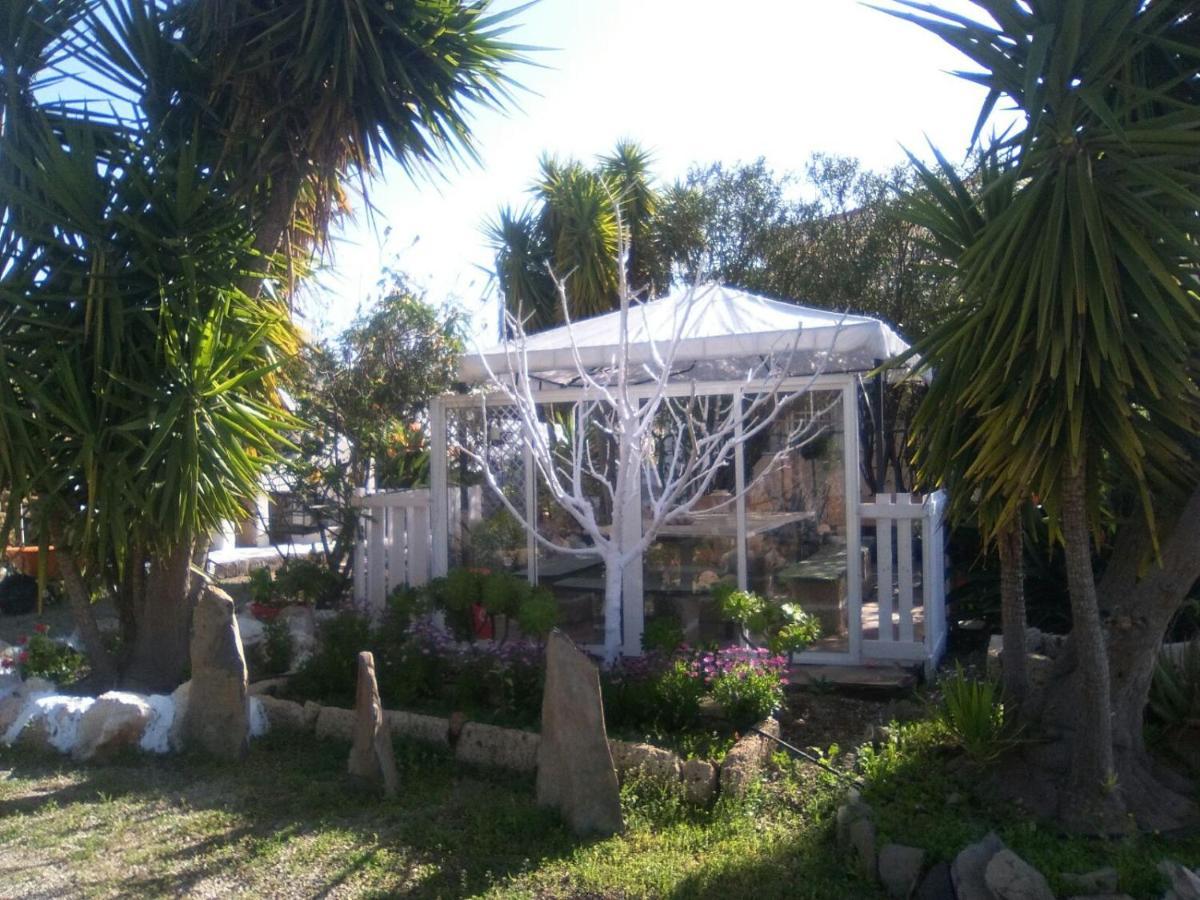 La Casita Ma Petite Folie Tenerife Santa Cruz de Tenerife Exteriör bild