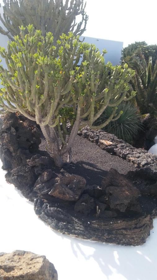 La Casita Ma Petite Folie Tenerife Santa Cruz de Tenerife Exteriör bild